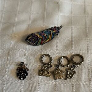 Colorful Feather Brooch and Charm Set